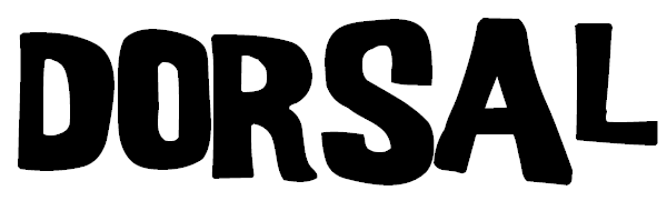 DORSAL Ailerons Surf Quad Lot de 4 - Compatible Future Performance