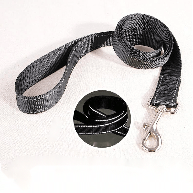 Ensemble Collier et Laisse en Nylon Premium pour Chien - Accessoires Animaux