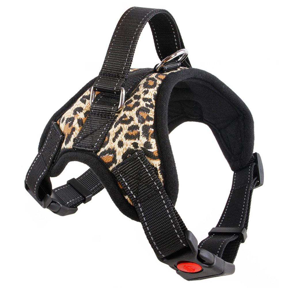 Ensemble Collier et Laisse en Nylon Premium pour Chien - Accessoires Animaux