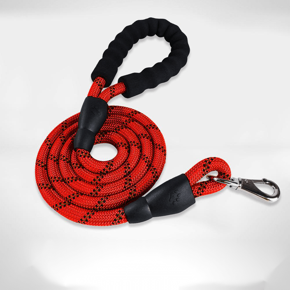 Ensemble Collier et Laisse en Nylon Premium pour Chien - Accessoires Animaux