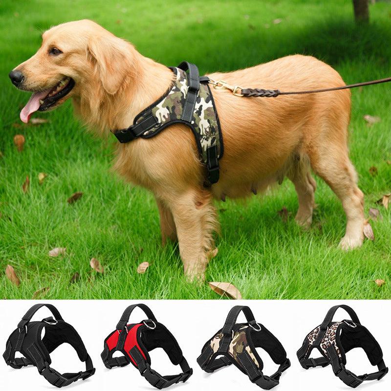 Ensemble Collier et Laisse en Nylon Premium pour Chien - Accessoires Animaux