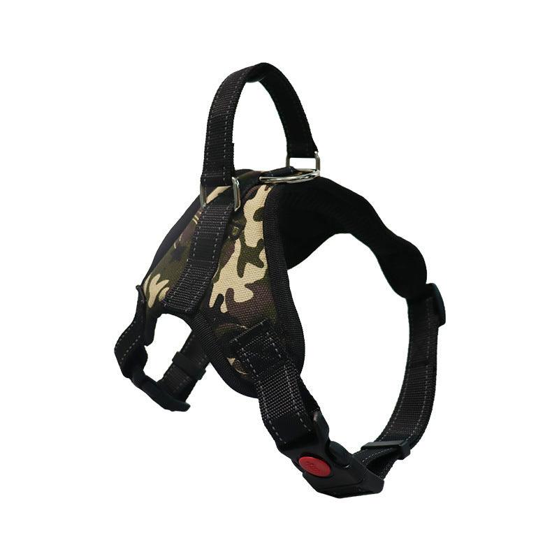 Ensemble Collier et Laisse en Nylon Premium pour Chien - Accessoires Animaux